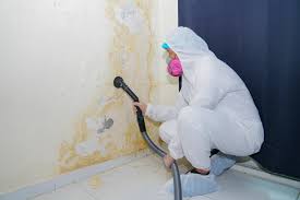 Why You Should Choose Our Mold Remediation Services in Sandy Hook, CT